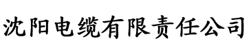 久久综合AV电缆厂logo